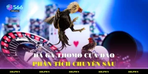 Đá Gà Thomo Cựa Dao